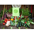 thumbnail image 5 of Eveokoki Farming Vegetable Garden Sign Cabbage Sign with Stake 7x8.8inch Aluminum Outdoor Decoration Sign Rustproof Sturdy Aluminum Sign for Outdoor Use Easy Install Set of 1, 5 of 6