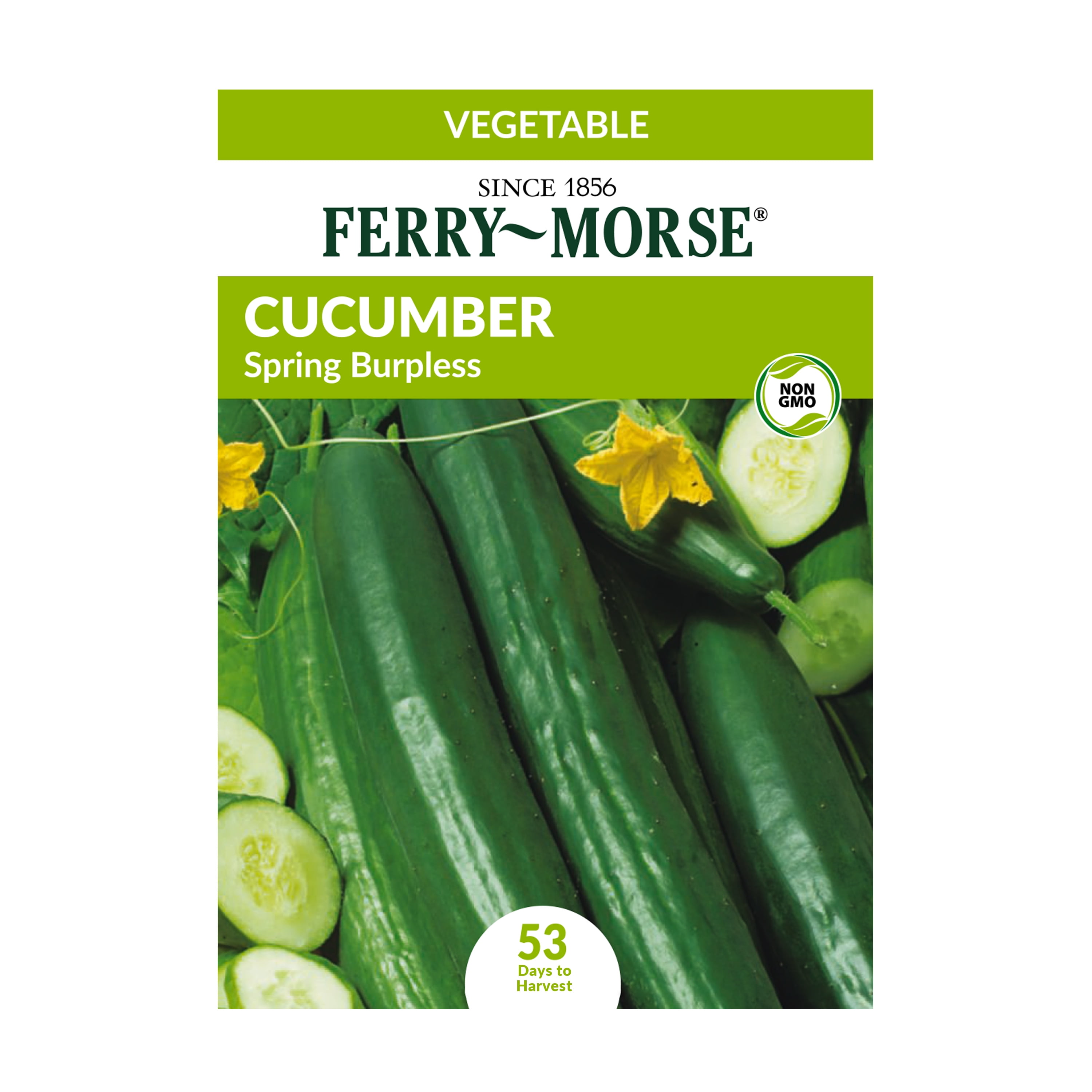 FerryMorse Cucumber Spring Burpless Hybrid