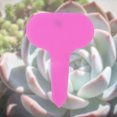 thumbnail image 3 of Etiquetas de Plantas Higoodz 100pcs Rosa, 3 of 6