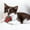 G, variant on Eliaeconx Cat Toys Balls with Bells, Self-Play Cat Plush Ball Toys, Interactive Cat Toys for Indoor Cats and Kittens, Suitable for Small Pets Entertainment - G