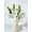 White, variant on KUNPENG 2 Pcs Pink Stargazer Lily Artificial Flowers for Decoration, 15 inch Long Stems Real Touch Latex Fake Flowers, Faux Silk Easter Lily for Spring Indoor Home Office Wedding Table Centerpiece