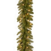9' x 10" Pre-Lit Green Dunhill Fir Artificial Christmas Garland - Clear Dura-Lit Lights