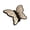 Milk-tea-color, variant on mdesiwst Hair Claw Stable Gripping Thick Spring Anti-Slip Tooth Comb Hair Clip Butterflies Shape Back Head Hair Clip