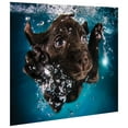 thumbnail image 2 of Empire Art Direct Black Lab Frameless Free Floating Tempered Glass Panel Graphic Dog Wall Art, 16" x 20" x 0.2", Ready to Hang, 2 of 9