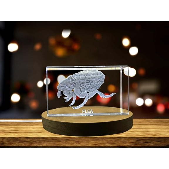 Whimsical Flea Crystal Carvings | Exquisite Gems Etched with Miniature Pets