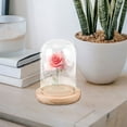 thumbnail image 5 of Clear Glass Display Case with Rose Globe Cover, Countertop Bell Jar for Decorative and Protective Display, 5 of 6