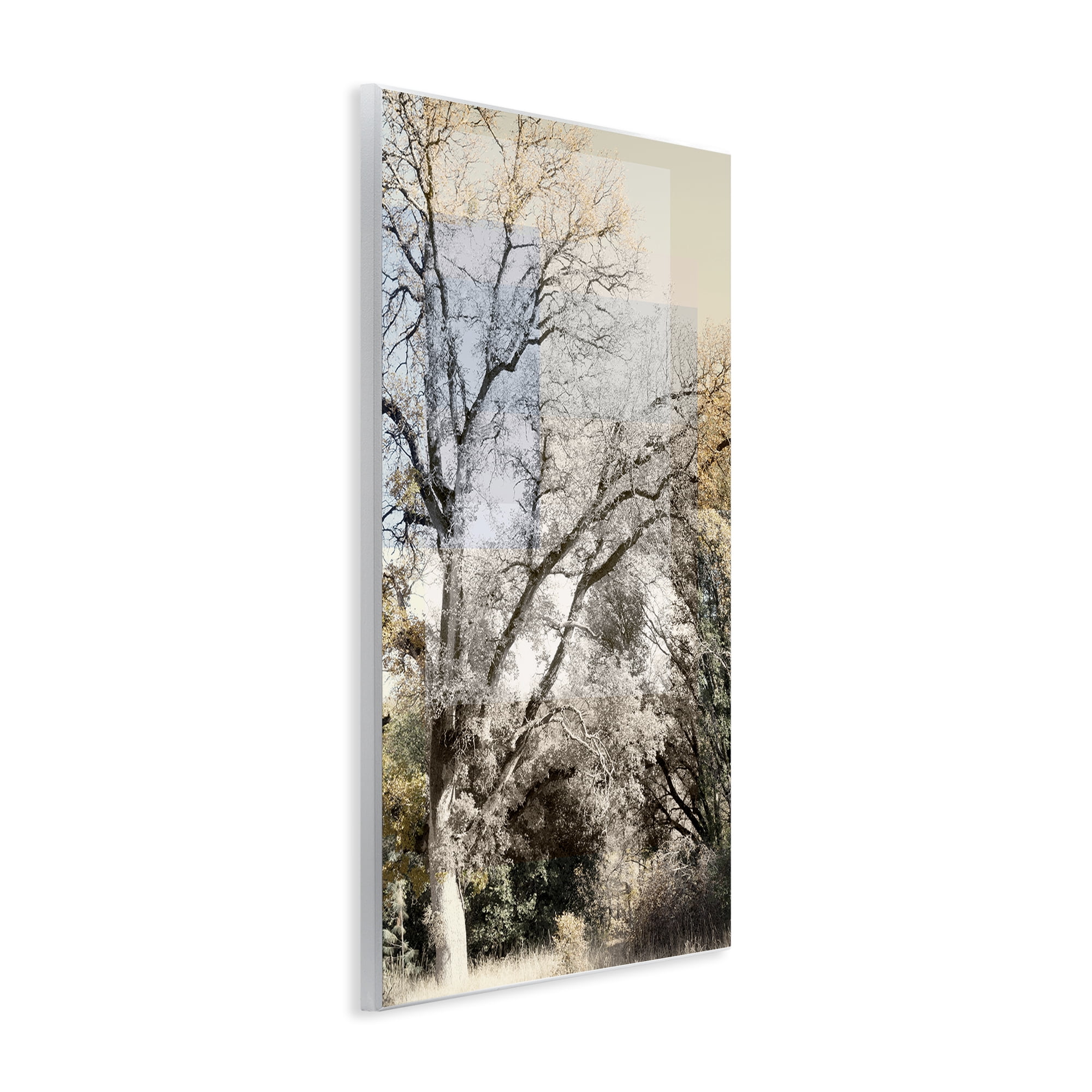Stupell Industries Tree Collage Layers Wall Plaque Art, design by Gemma Bardot