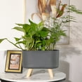 thumbnail image 4 of Travelwant Self Watering Planter with Water Level Indicator, Window Gardening Box, Decorative Planter Pot for All House Plants Flowers Herbs, Modern Decorative Planter Pot, 4 of 7