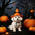 thumbnail image 5 of Cififendec Halloween Pet Witch Hat, 5.91"×5.31", Adjustable Pumpkin Style Costume Accessory for Party Photo Shoot Yard Dress Up Spooky Season Pet Accent, 5 of 5