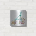 thumbnail image 3 of Luxe Metal Art 'Rainbow Seeds Monogram A' by Lisa Audit, Metal Wall Art, 12"x12", 3 of 9