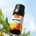 thumbnail image 1 of Sadoer Sweet Orange Fragrance Essential Oil (Foreign Edition) 10ml, 1 of 9
