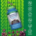 thumbnail image 3 of Magnesium Glycinate Gummies for Adults | 200mg | 120 Count | Grape Flavor | by Nature's Truth, 3 of 7