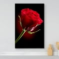 thumbnail image 2 of Canvas Prints Wall Art - Closeup of Red Rose Flower Against Black Background | Modern Wall Decor/Home Decoration Stretched Gallery Canvas Wrap Giclee Print &amp; Ready to Hang - 24" x 36", 2 of 5