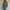 Army Green, variant on Aueoeo Women'S Lightweight Open Front Cardigan,Cardigans Womens Summer Fall Tie Dyed Print Cardigan Long Sleeve Loose Cover Up Casual Blouse Tops Soft Knit Cardigan Sweater On Clearance