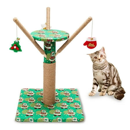 Cats Live Christmas Trees Ktaxon 18