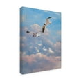 thumbnail image 2 of Trademark Fine Art 'Flying High' Canvas Art by Michael Jackson, 2 of 3