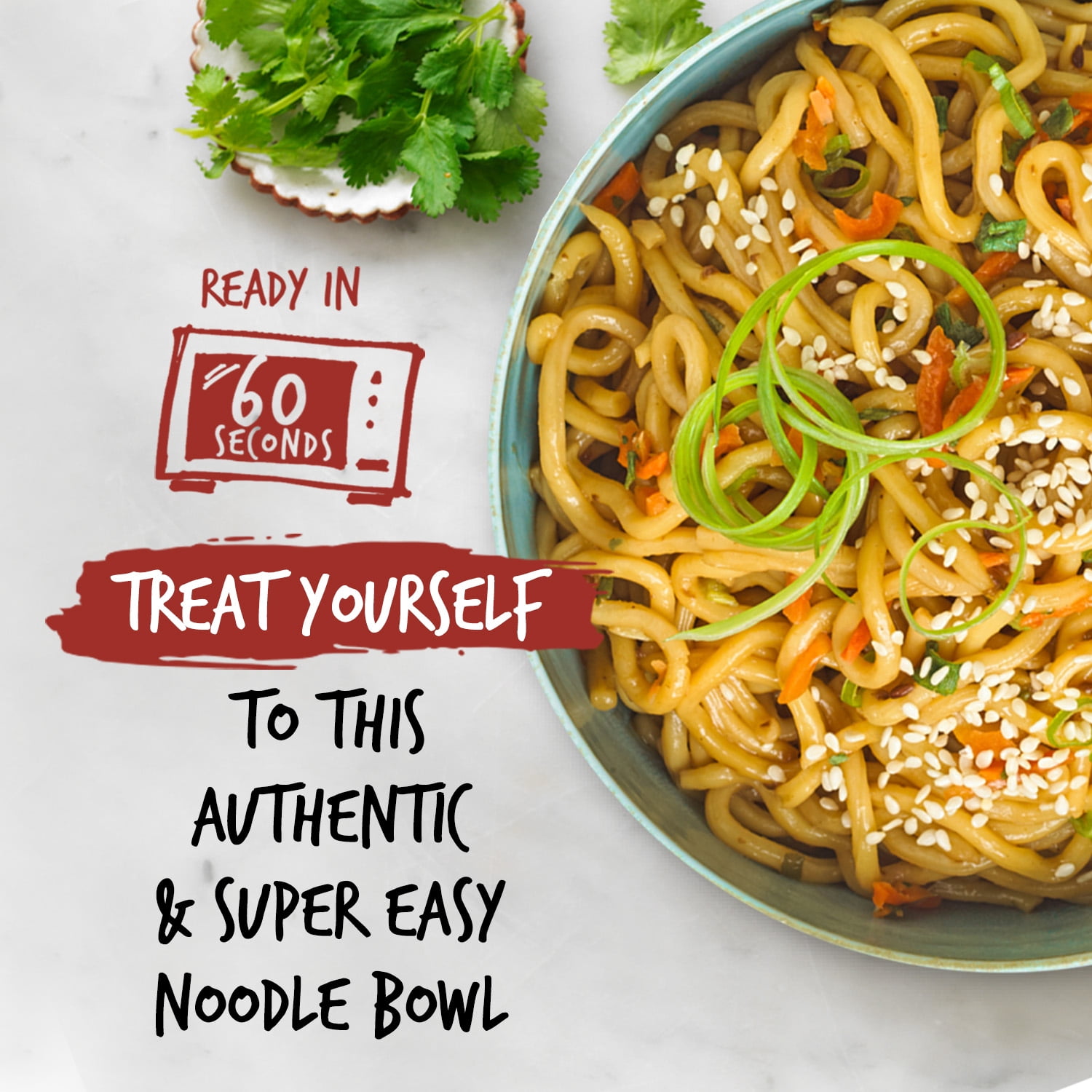 (2 pack) Passage to Asia Teriyaki Noodle Bowl, 8.6 oz, Shelf Stable