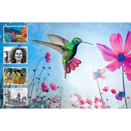 Adobe - Photoshop Elements 2024 - Windows [Digital]