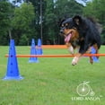 thumbnail image 6 of Lord Anson trade; Dog Agility Hurdle Cone Set - Canine Agility Training Set - Obedience, Agility, and Rehabilitation - 16 Agility Cones and 8 Agility Rods, 6 of 6