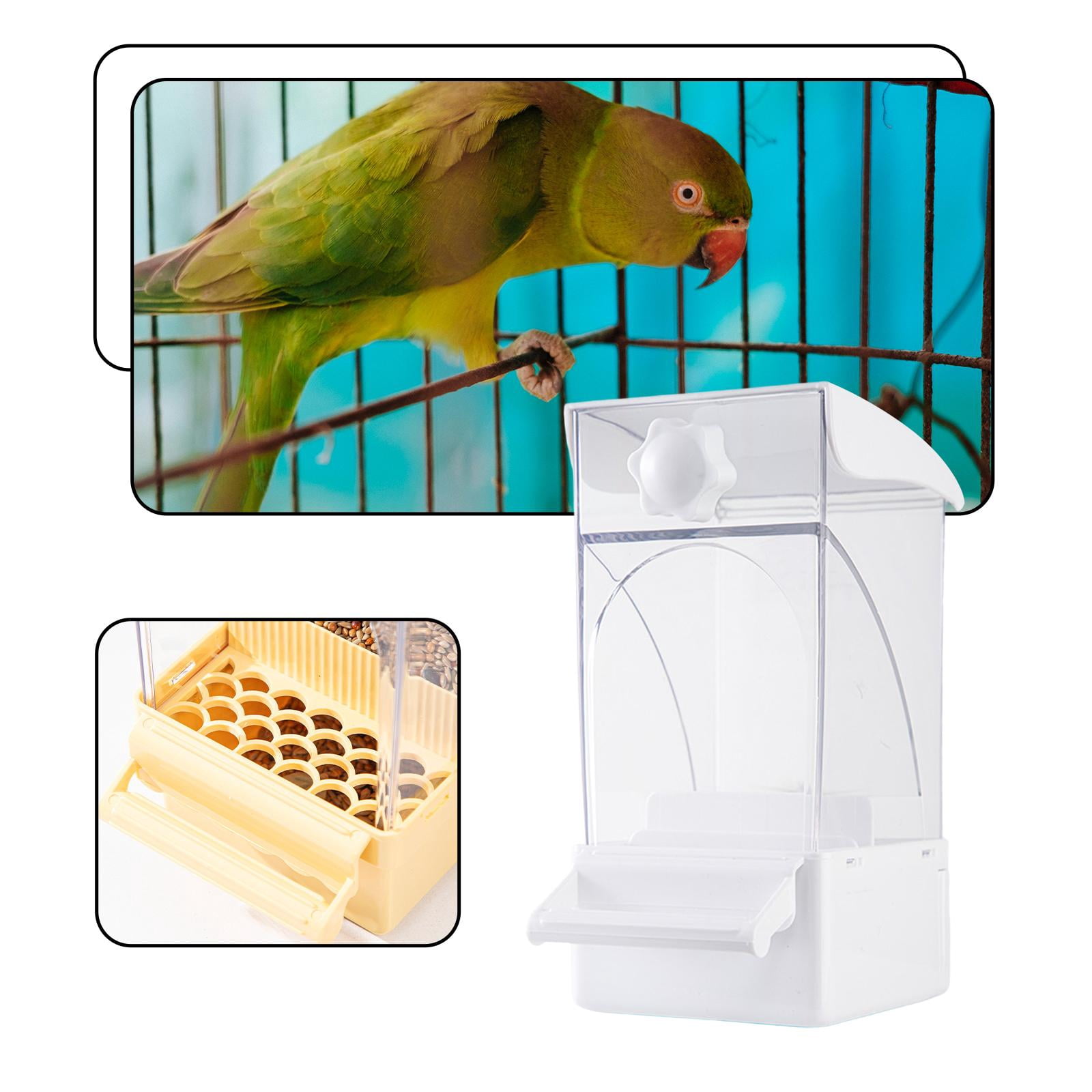 Bird Feeder Cage Accessory Food Bowl Large Capacity Clear Design for Parakeets Canaries Small Birds