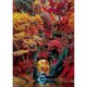 thumbnail image 1 of Taladro Pintura Diamante (DE1007) 5D DIY Completo Naturaleza Maravillosa Punto de Cruz (JH078) 50x70cm Hugtrwg Para estrenar, 1 of 1