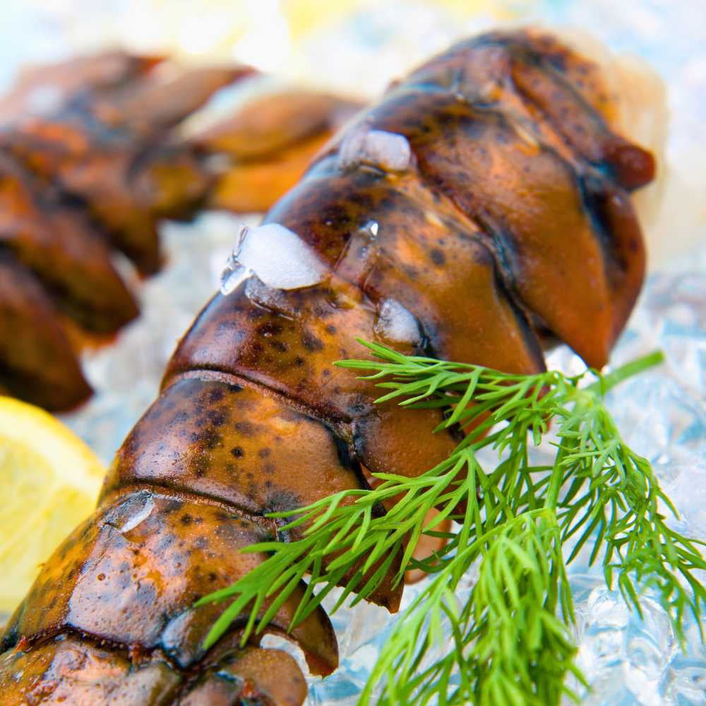 Today Gourmet Lobster Tails - 14oz.-16oz. - (2 Tails)
