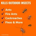 thumbnail image 2 of TERRO 3 lb Ant Killer Plus Multi-Purpose Insect Control, 2 of 11