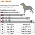 thumbnail image 4 of Collar de tracción con hebilla semimetálica para perros y mangas de cuello, 4 of 5