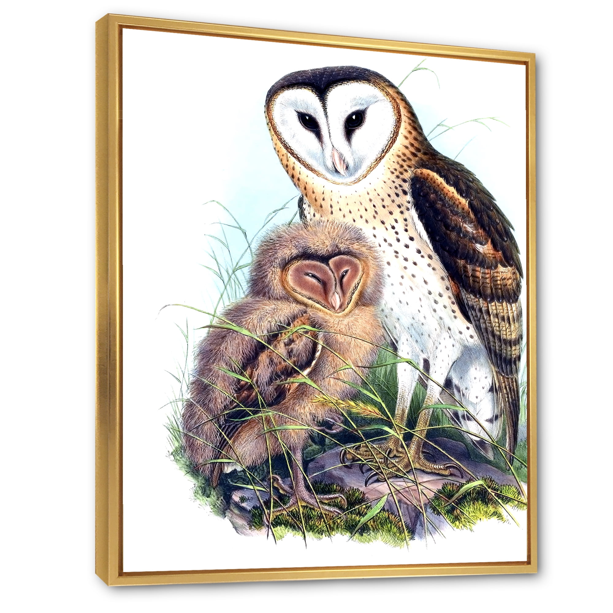 Designart 'Ancient Birds I' Traditional Framed Canvas Wall Art Print