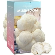 Large Organic Lion's Mane Mushroom Growing Kit, Double-Side Mushroom Grow Kit Indoor Harvest in 10 Days, Grows Year Round, Made in USA, Birthday Gift, House Warming Gift
