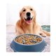 thumbnail image 2 of Comedero lento antitrago para perros YONGSHENG Cuenco interactivo color azul, 2 of 3