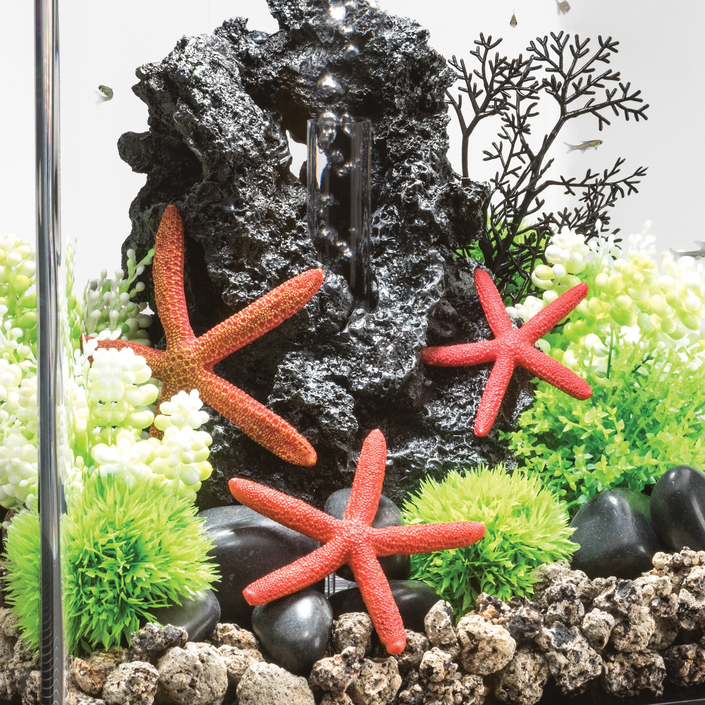 biOrb Red Starfish Set - Small Aquarium Decor