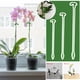 thumbnail image 1 of Xihbxyly Soporte para Flores de Phalaenopsis, Estacas de Soporte para Plantas, Varillas Resistentes Antiencamado, Evitan Que Se Doblen y Se Enreden, Protección para Jardín Exterior, Multiusos, Juego, 1 of 1