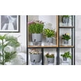 thumbnail image 5 of Visland Self Watering Pots for Indoor Plants, Flower Pot Modern Decorative Plastic Planter with Water Storage for All House Plants, Flowers, Herbs, 5 of 8