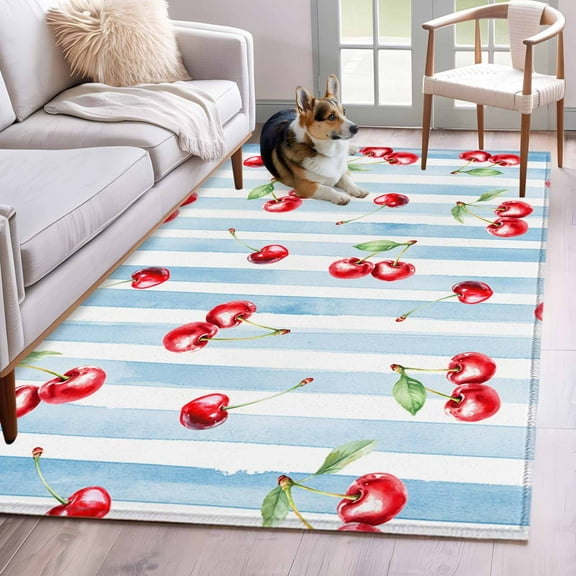Cherry Farmhouse Area Rug 3x5 Washable Rug Non Slip Spring Summer Fruit Blue Striped Large Area Rug Indoor Floor Carpet for Entryway Bedroom Kitchen Living Room Home Office Dining Room Nursery