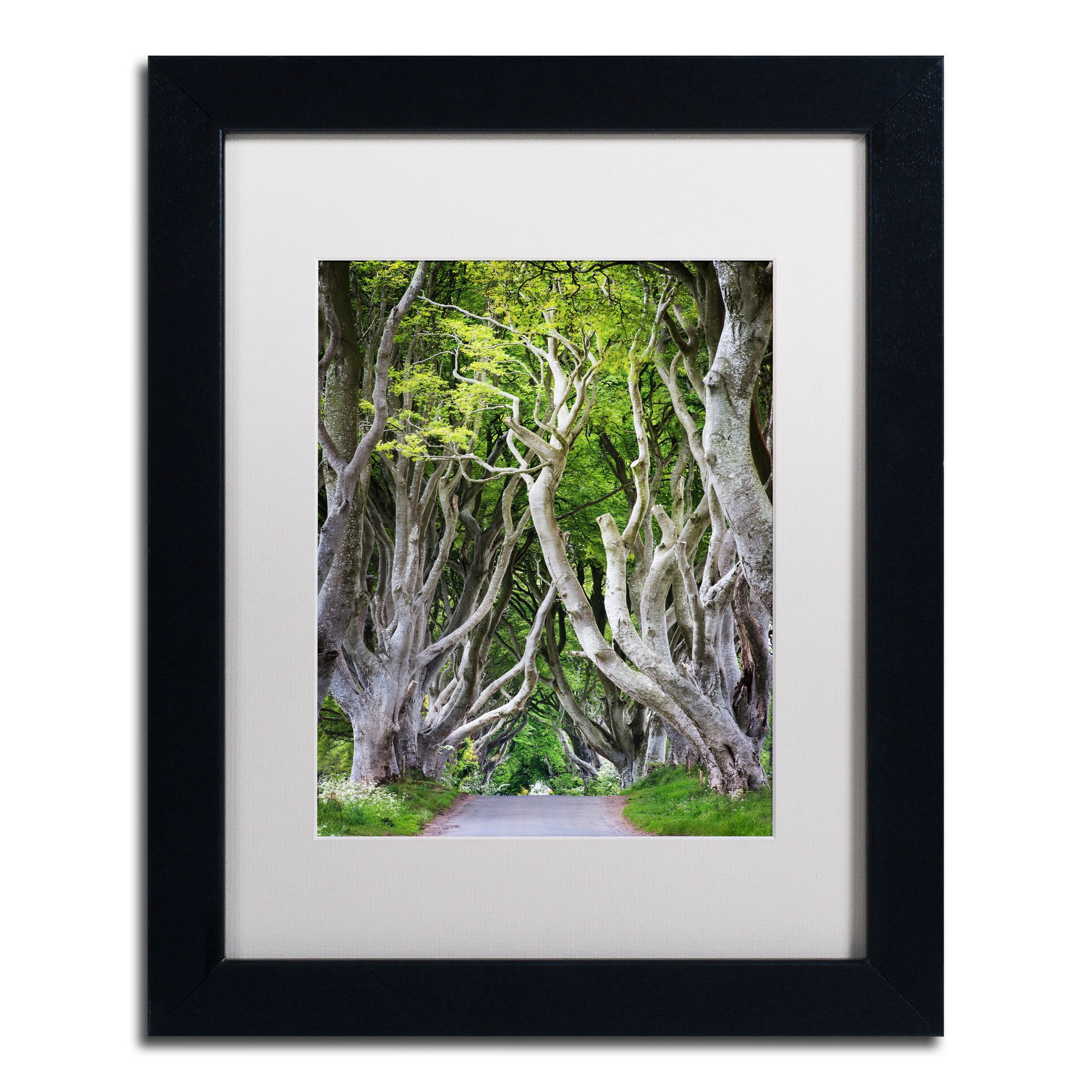 Trademark Fine Art "Down There" Canvas Art by Philippe Sainte-Laudy, White Matte, Black Frame