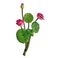 thumbnail image 3 of HomelyJoy Rose Red Artificial Lotus Bouquet, 10.2 in Realistic Faux Flower Arrangement for Elegant Home and Pond Decor, 3 of 6