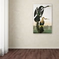 thumbnail image 4 of Trademark Fine Art John James Audubon Black-Billed Darter Canvas Wall Art - 22x32, 4 of 4