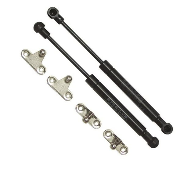 22.5 lbs 100 N Gas Spring, Black