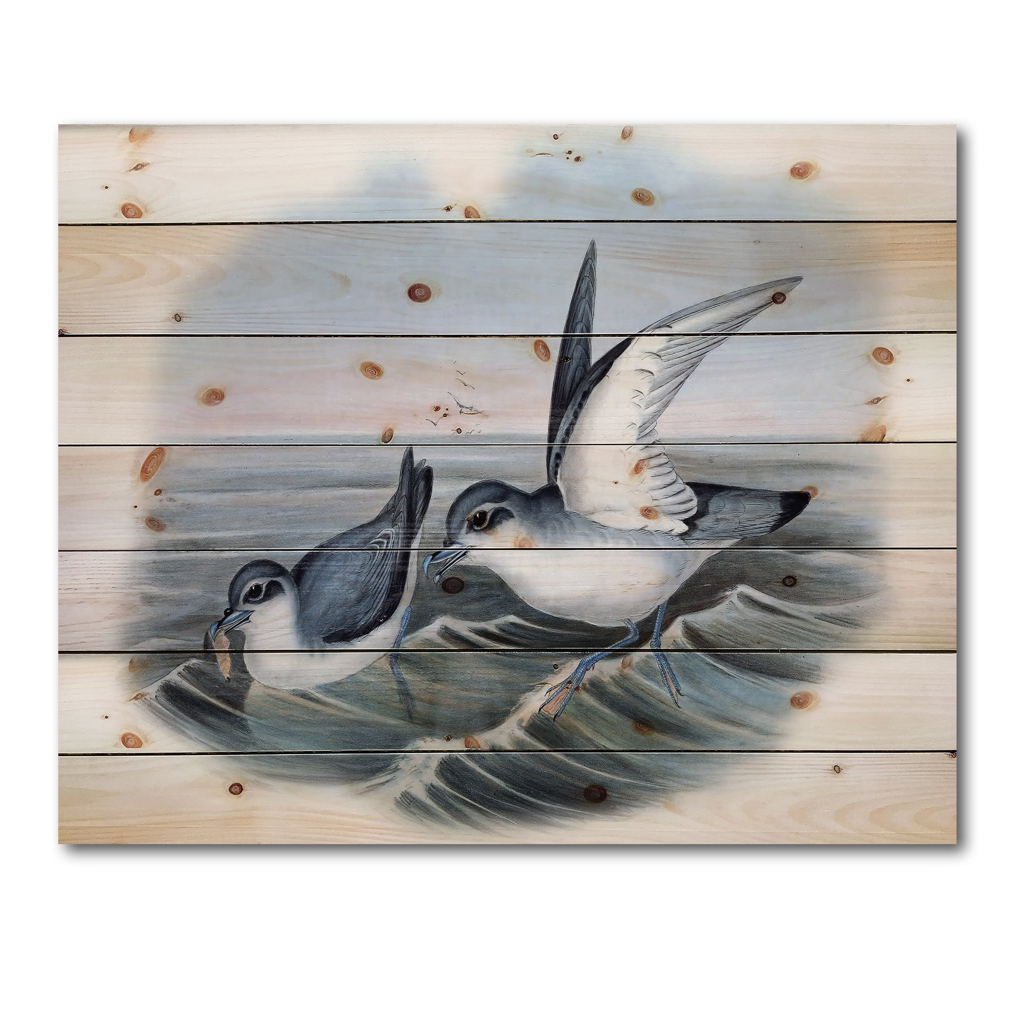 Designart 'Ancient Bird Life X' Traditional Print on Natural Pine Wood