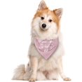 thumbnail image 2 of I Thought I was The Baby Dog Bandana, Dog Bandana, Pink Dog Scarf Accessories, Dog Triangle Scarf, Dog Bandana for Small Medium Large Dog, Pregnancy Announcement Dog Bandana (D10), 2 of 4