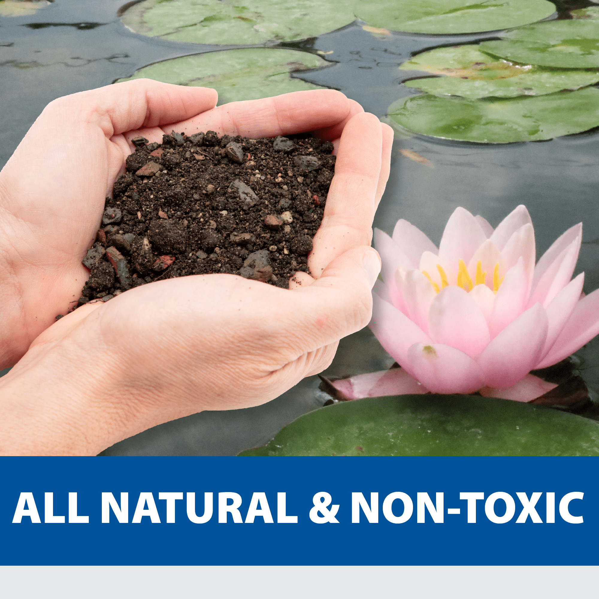 The Pond Guy Planting Soil for Decorative Backyard Water Gardens & Patio Ponds, Premium Natural Plant Media for Aquatic Horticulture, 8 Quarts