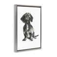 thumbnail image 2 of Stupell Industries Transitional Dachshund Sitting Drawing Gray Floating Frame Canvas Art, 17 x 25, by cartissi, 2 of 7
