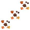 thumbnail image 2 of Toystoory 50 piezas de decoraciones de Halloween, suministros de fiesta para celebración espeluznante, decoración de boda, 166 Uds. Type1 NO1, 2 of 6
