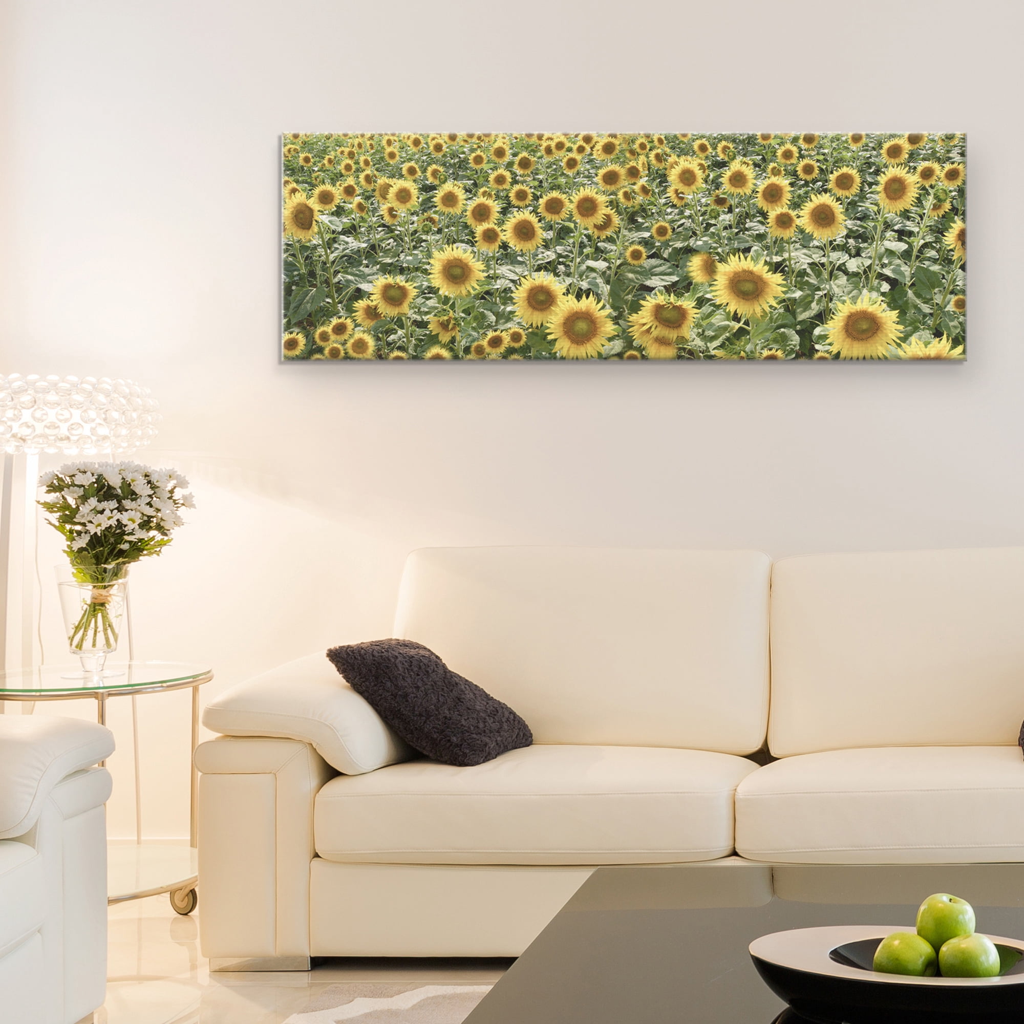 Masterpiece Art Gallery Tuscan Sunflower Field Pano #1 by Alan Blaustein Canvas Art Print 16" x 48"
