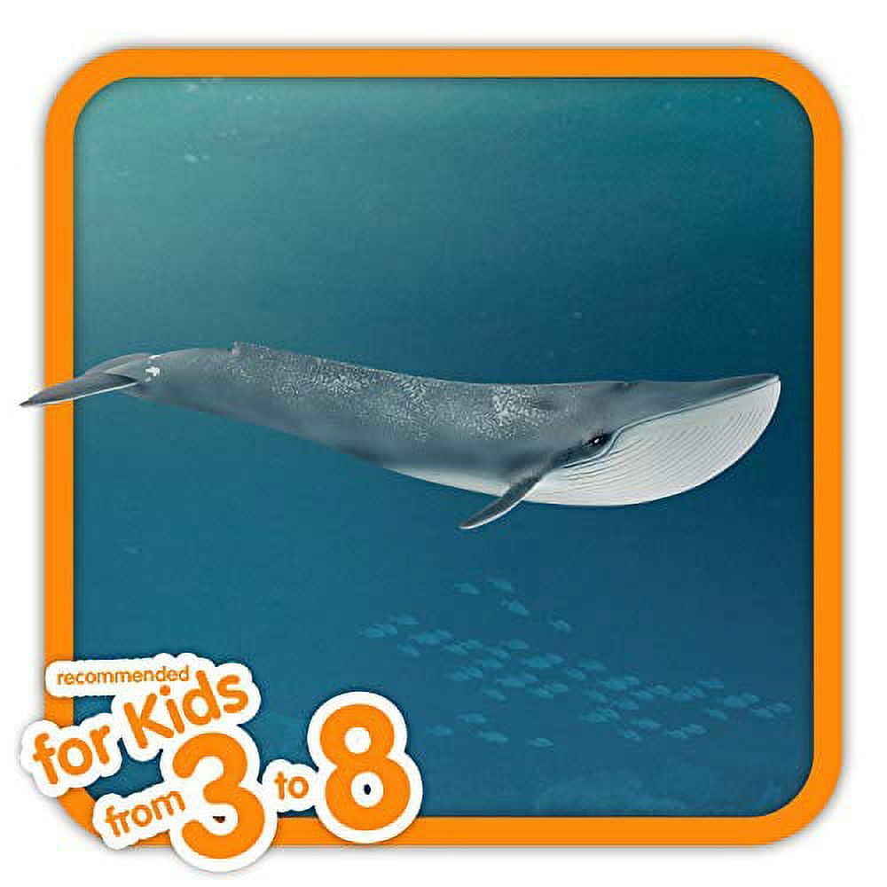 Schleich Wild Life - Realistic Blue Whale Figurine - Authentic and Highly Detailed Aquatic Animal Toy - Durable Ocean Animal Toys for Kids Ages 3+
