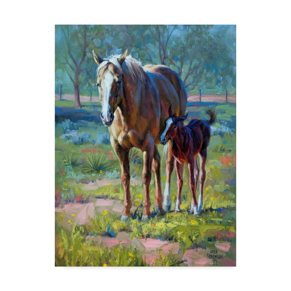 Trademark Fine Art 'Made in the Shade' Canvas Art by Jack Sorenson