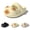 Beige, variant on Sandals Women Summer Clogs Cat Paw Print Garden Shoes On Slippers Water Shoes for Women Indoor and Outdoor Home