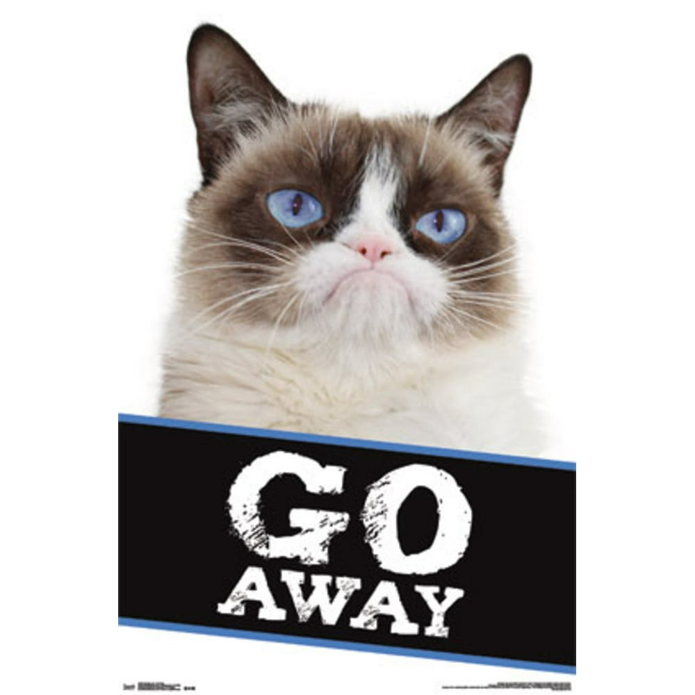 Grumpy Cat Go Away Funny Poster 22x34
