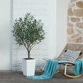 thumbnail image 6 of DR.Planzen UV Resistant 5ft Artificial Olive Tree in White Large Planter with Pebbles– Faux Olive Tree for Indoor and Outdoor Decor, Lifelike Greenery for Home & Garden Decor, 6 of 9